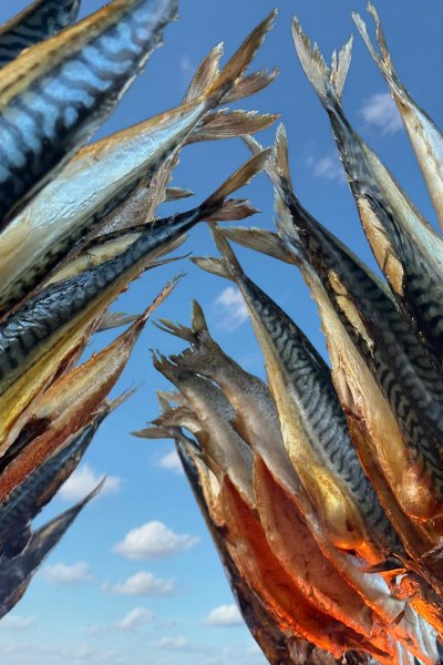Steckerlfisch vor Ort gegrillt - 858-to-cater.de